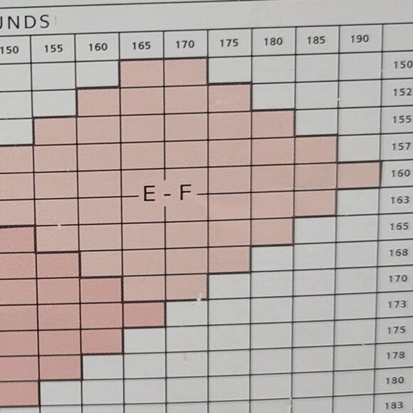 Hanes Smooth Illusions Contouring Collection Barely Black Shaper Panty - Picture 5 of 7